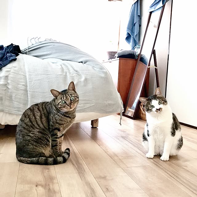 nillchibaさんの実例写真