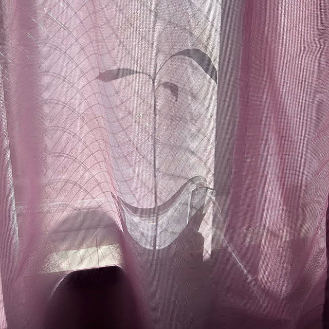 T1029さんの実例写真