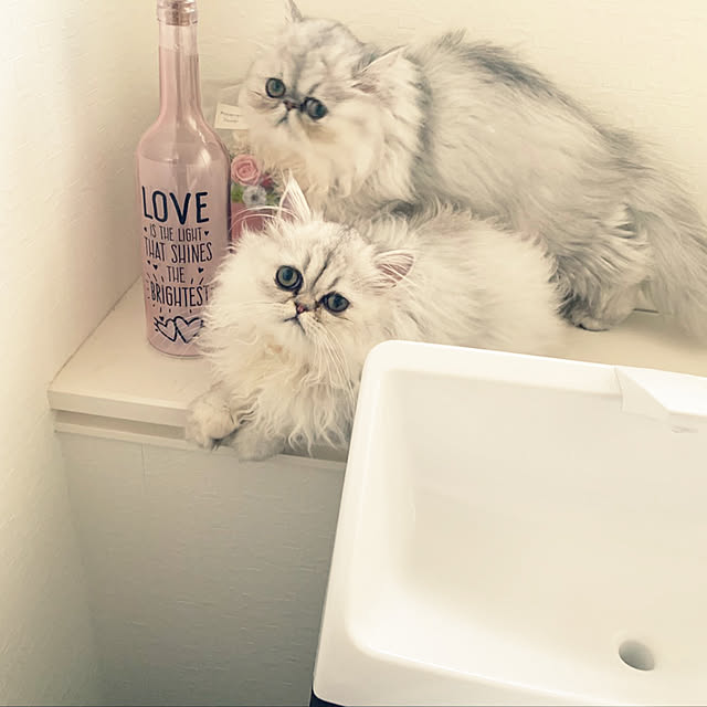 ryushinさんの実例写真