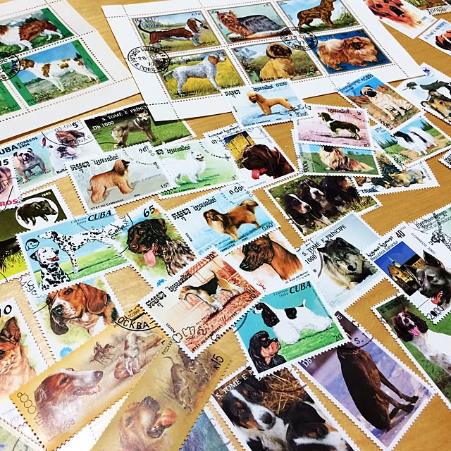 nuiさんの実例写真