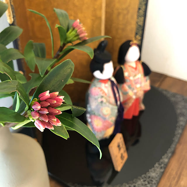 suzuranさんの実例写真