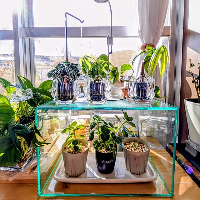 mi-saさんの部屋