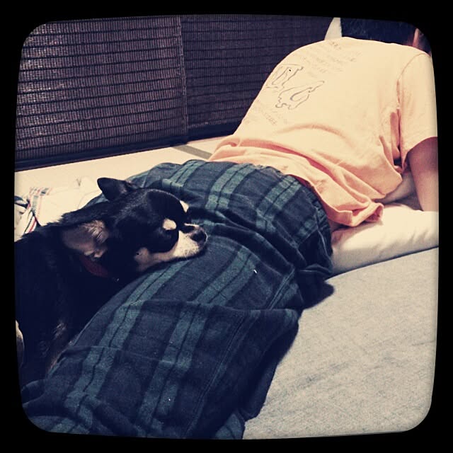 akhmさんの実例写真