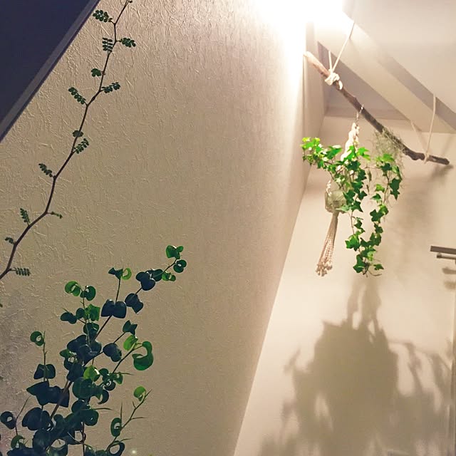 Jepsen.Dさんの実例写真