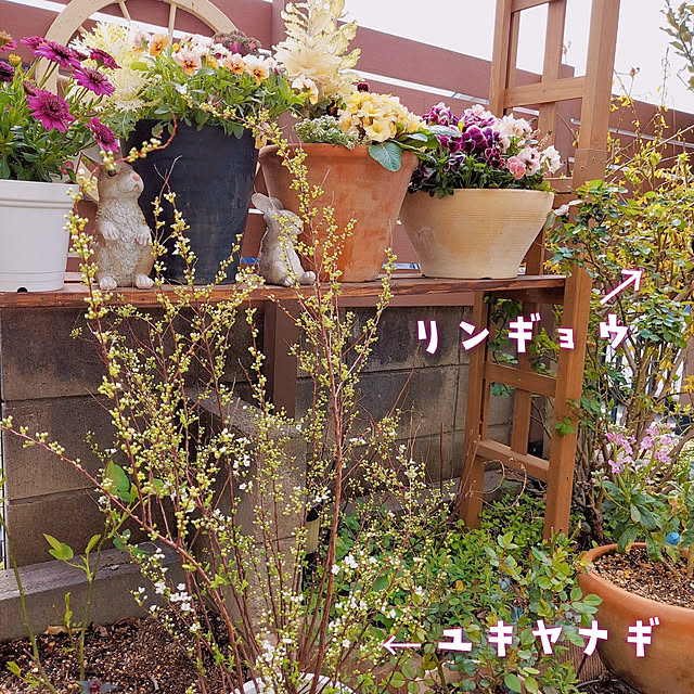 aikkoさんの実例写真