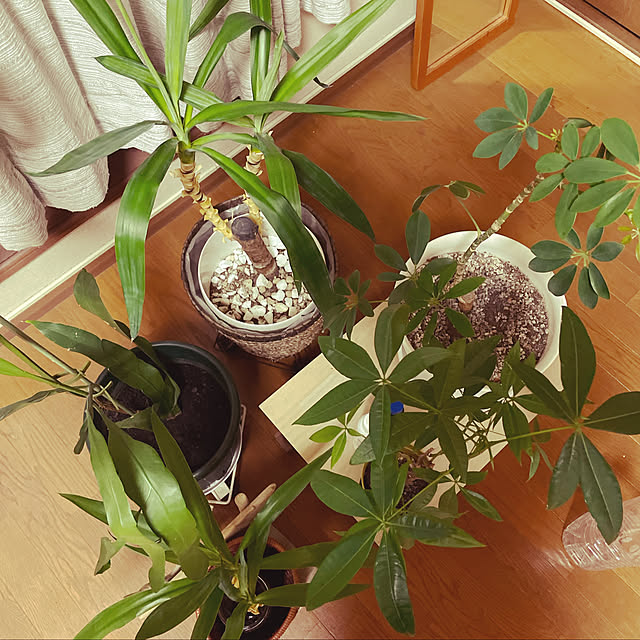 Hi-roさんの実例写真