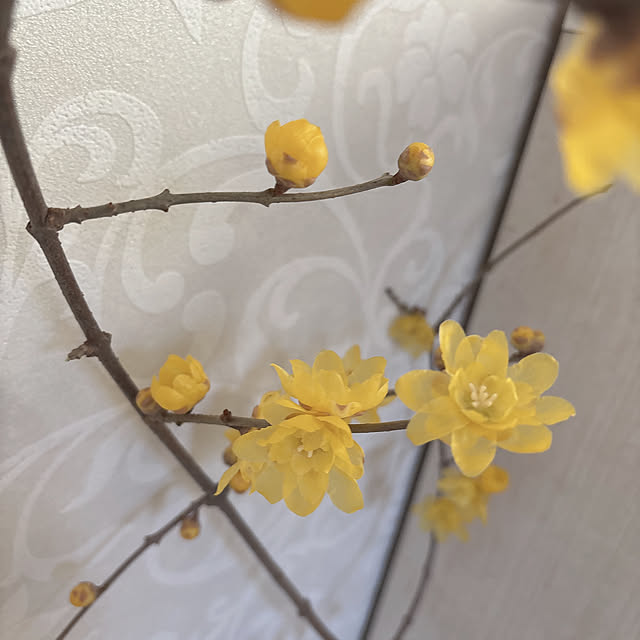 miyu39さんの部屋
