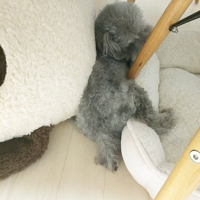 kaoさんの実例写真