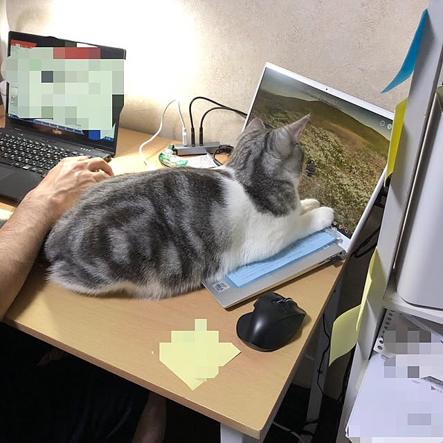 Atelier.mさんの実例写真
