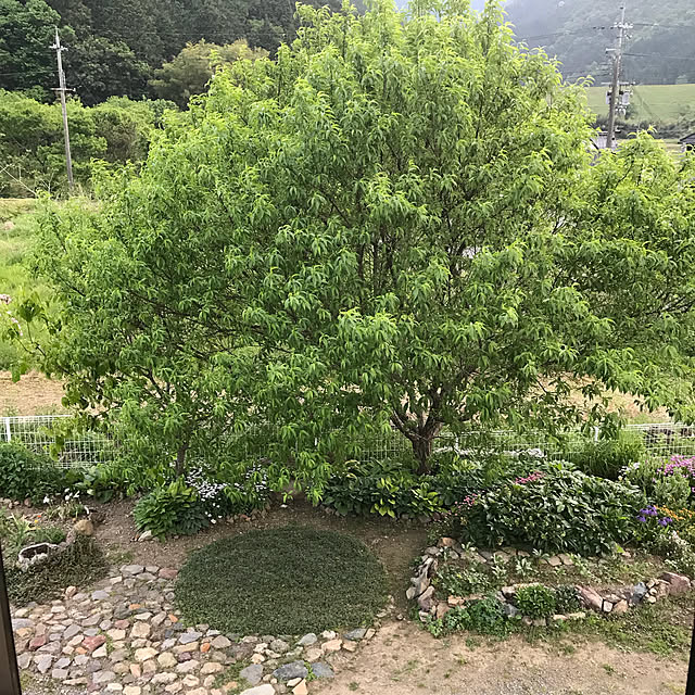 pepeさんの実例写真