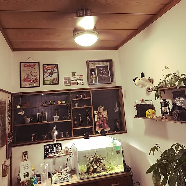 ku_28さんの実例写真