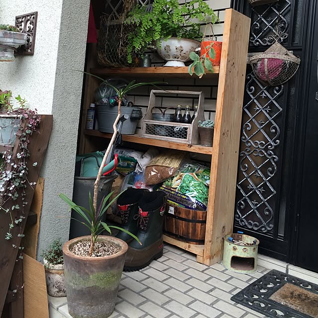 実例写真