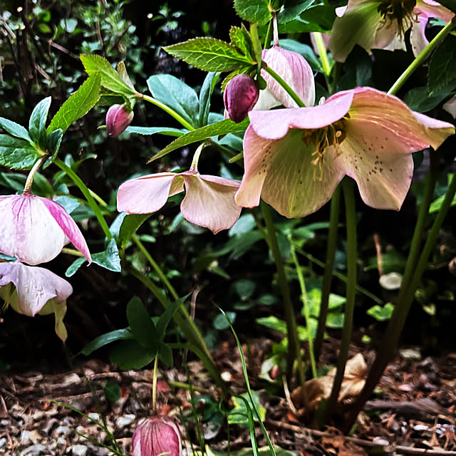 yuuumyさんの部屋