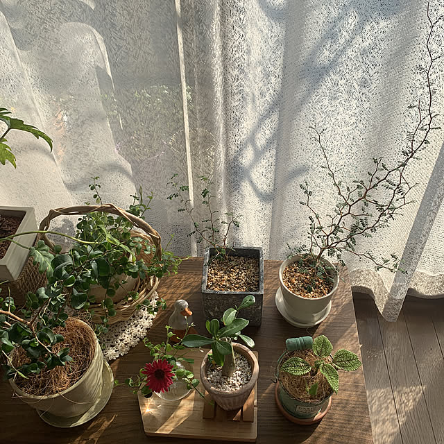 JUNさんの実例写真