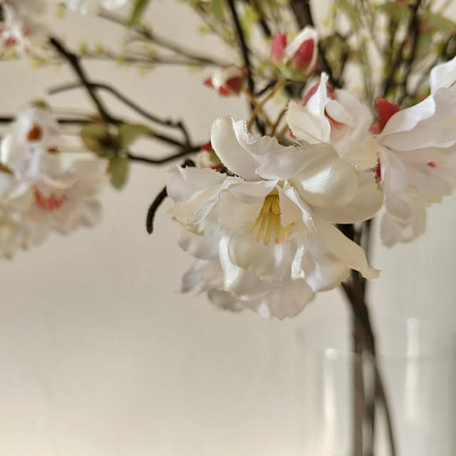 kazuyosi35nさんの部屋