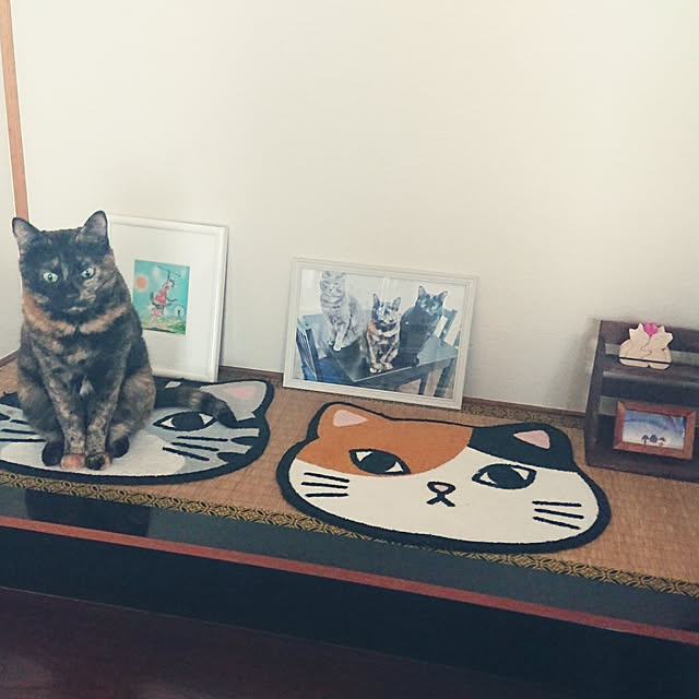 tsukushiさんの実例写真
