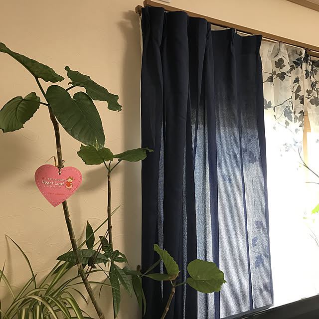 fuuさんの実例写真