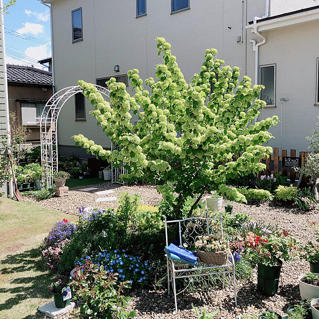 yukiminさんの実例写真