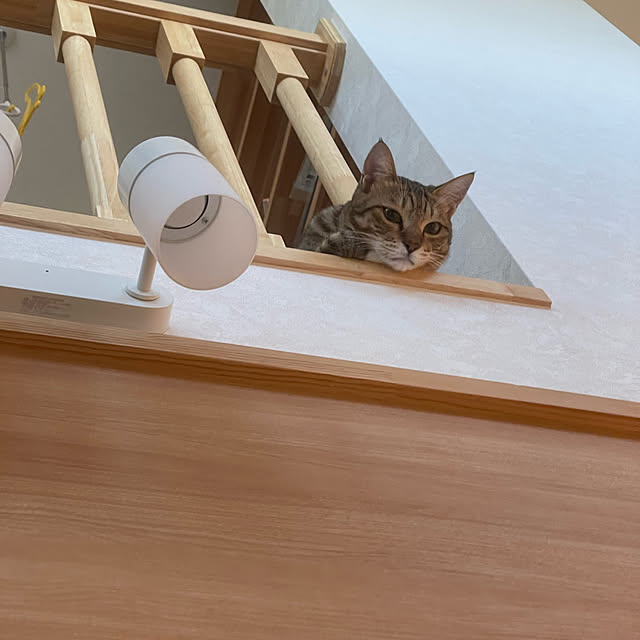 manekinekoさんの実例写真