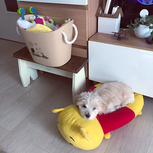 sachieさんの実例写真