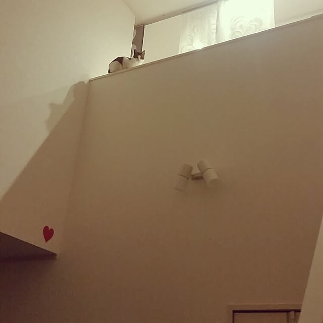 runayucoさんの実例写真