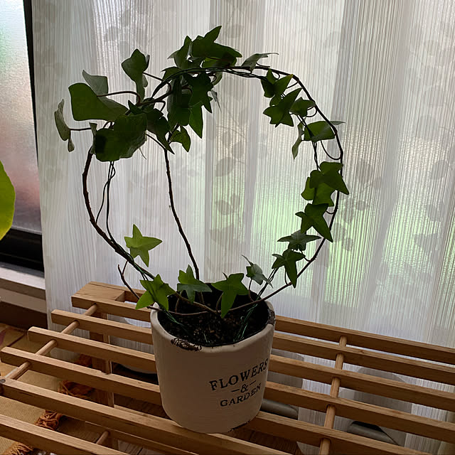 pakilaさんの実例写真