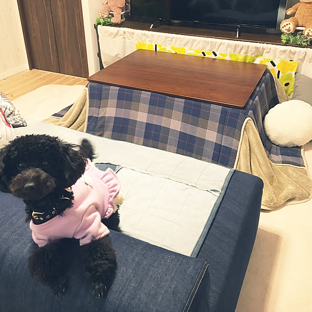eringo921さんの実例写真