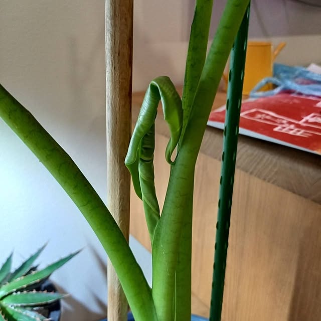 Rさんの部屋