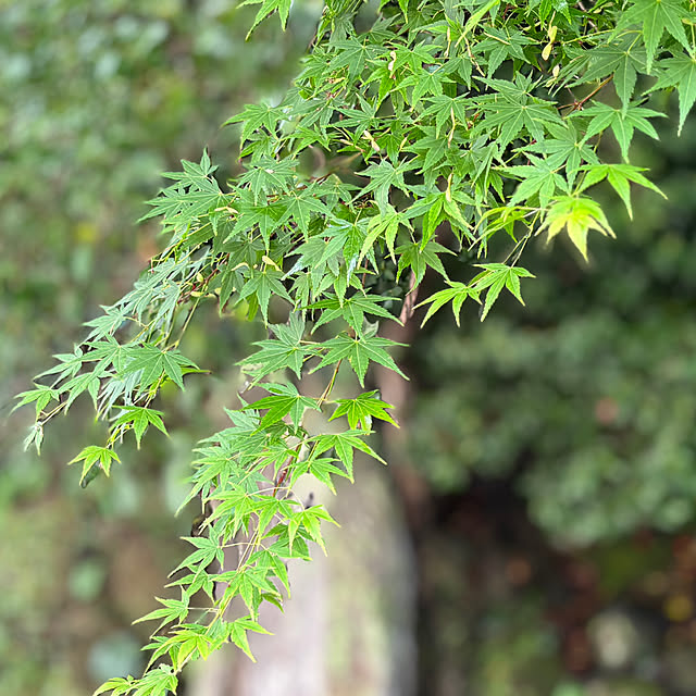 tututu0204さんの部屋