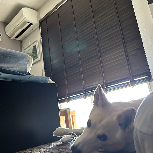 tanboさんの部屋