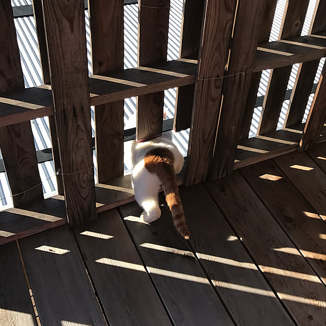 sakurasakuさんの実例写真