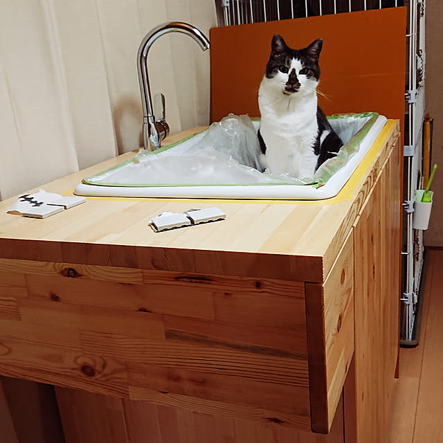 e-mailさんの実例写真