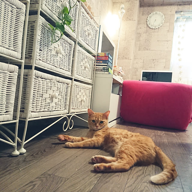 asuminさんの実例写真