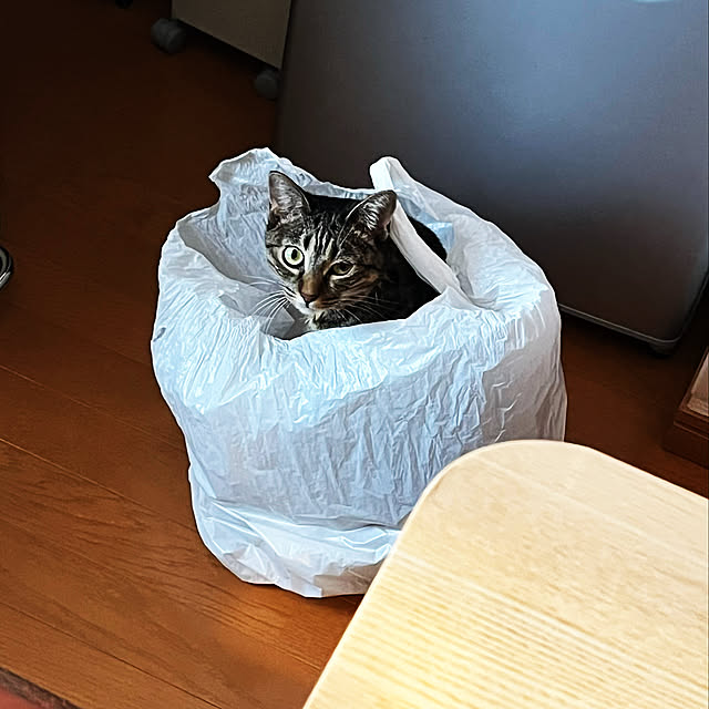 Mさんの実例写真