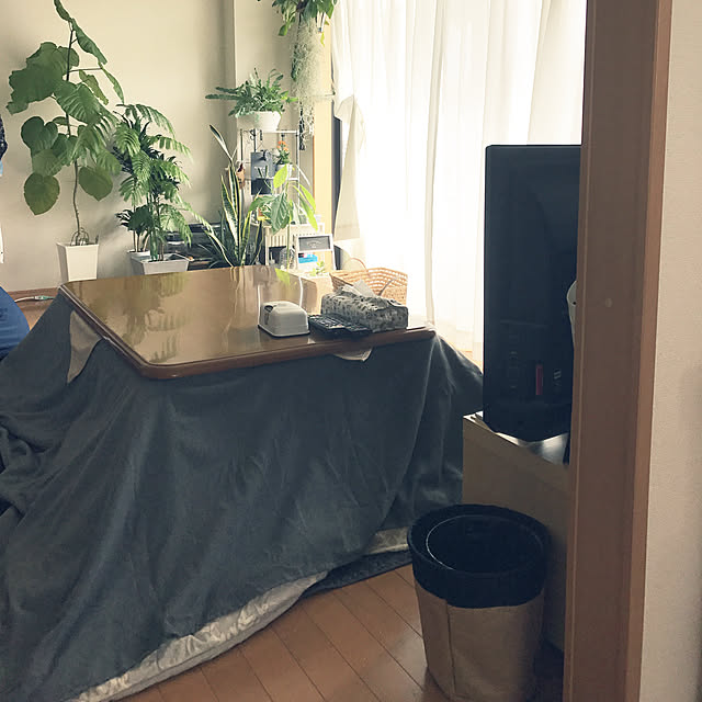 powakyonさんの実例写真
