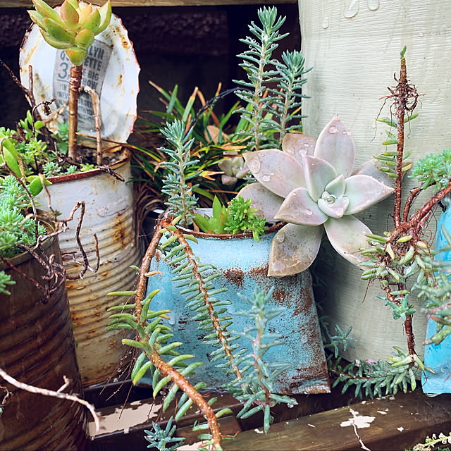 tudukiさんの実例写真