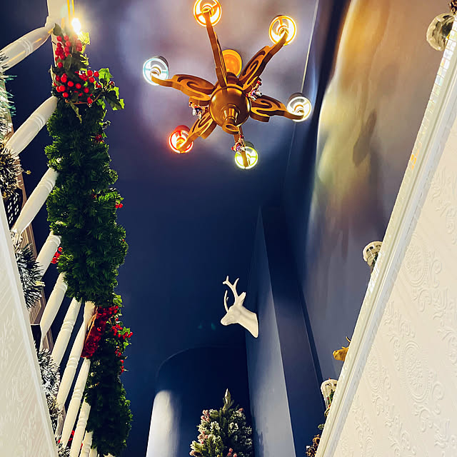 nackeyさんの実例写真