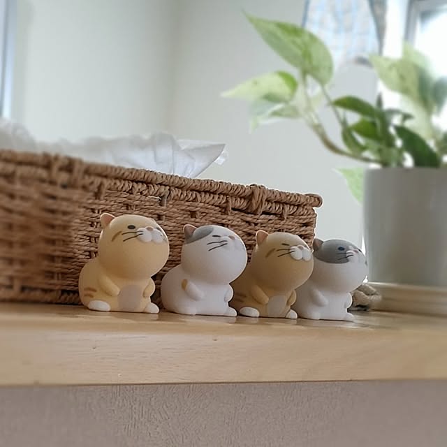 junpyonさんの実例写真