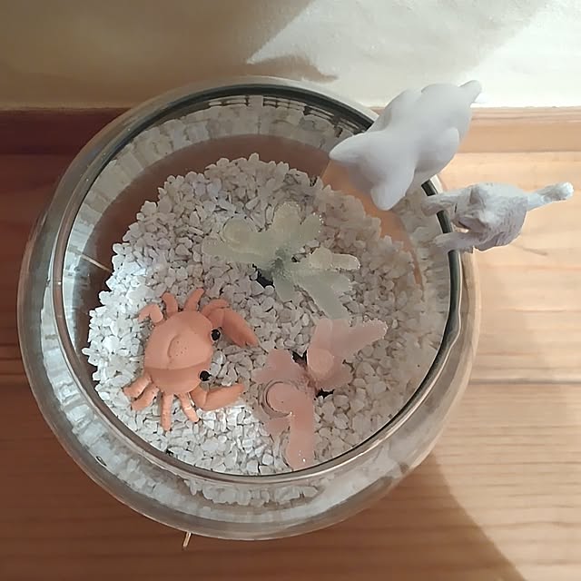 t.yumiさんの部屋