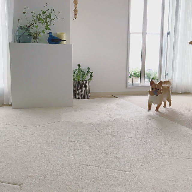 haruhinaさんの実例写真