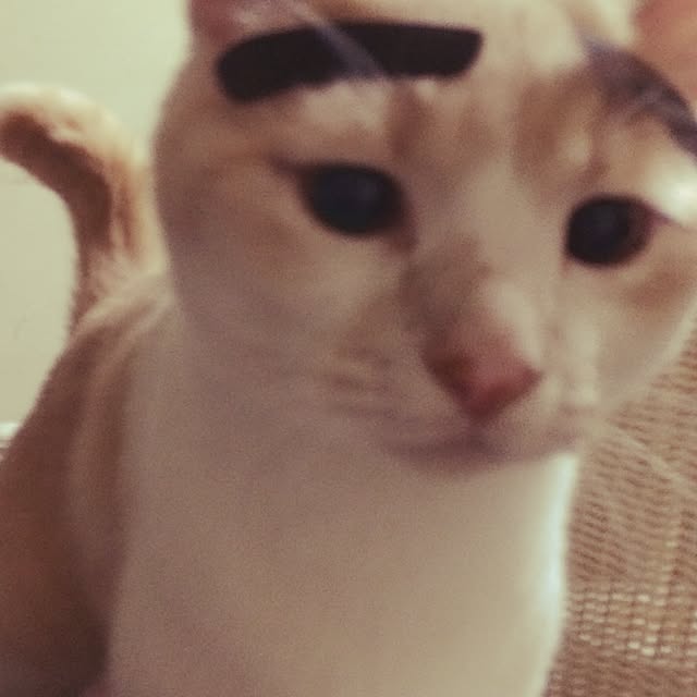 makiさんの実例写真