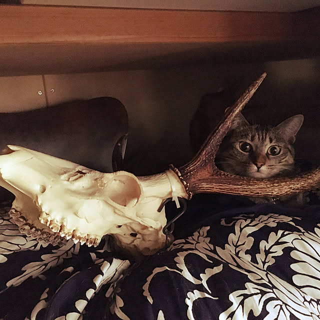 Mさんの実例写真