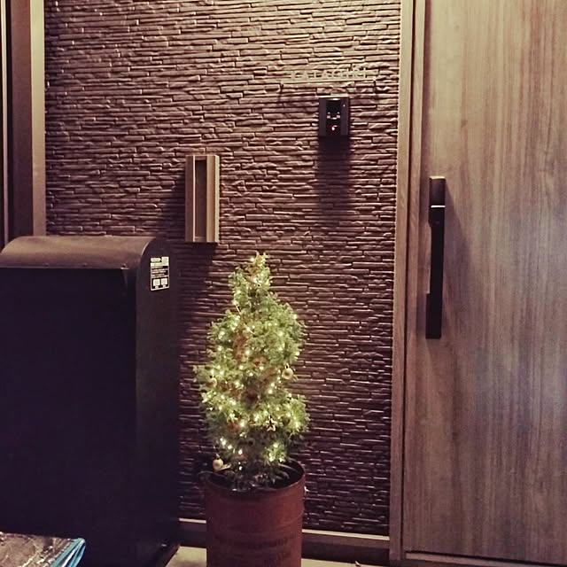 玄関/入り口/クリスマスツリー/クリスマスディスプレイ/ソーラーイルミネーション/ボールバード...などのインテリア実例 - 2023-12-07 01:05:36