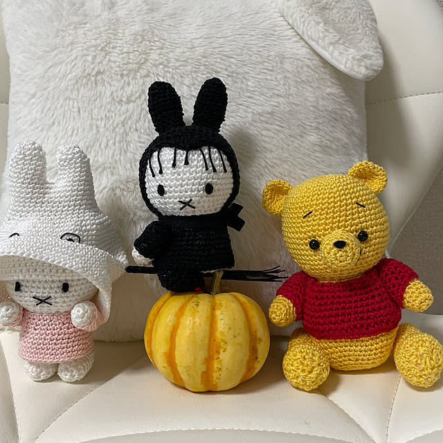 Renさんの実例写真