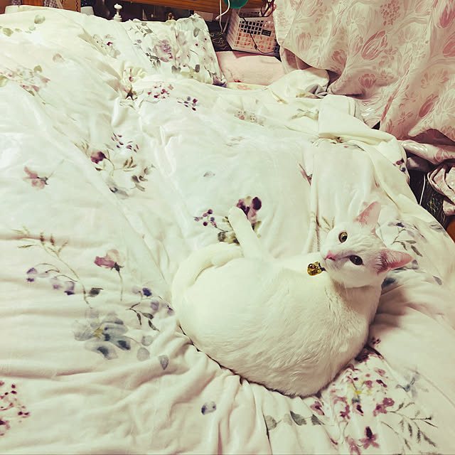 moyuhiさんの実例写真