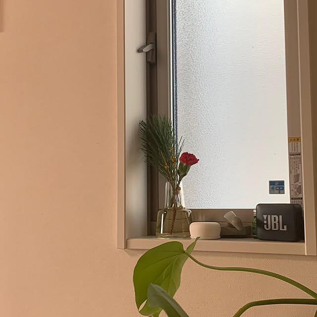 Momooさんの実例写真