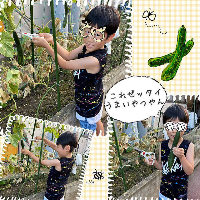 cecil..さんの実例写真