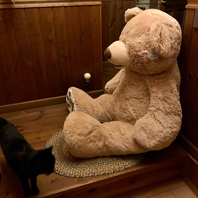 tabasaさんの実例写真