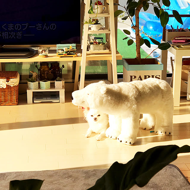 moeさんの実例写真