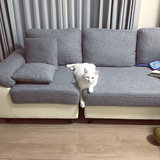 Yukakoさんの実例写真